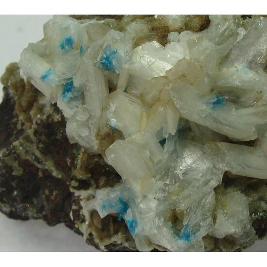 Cavansite On Stilbite