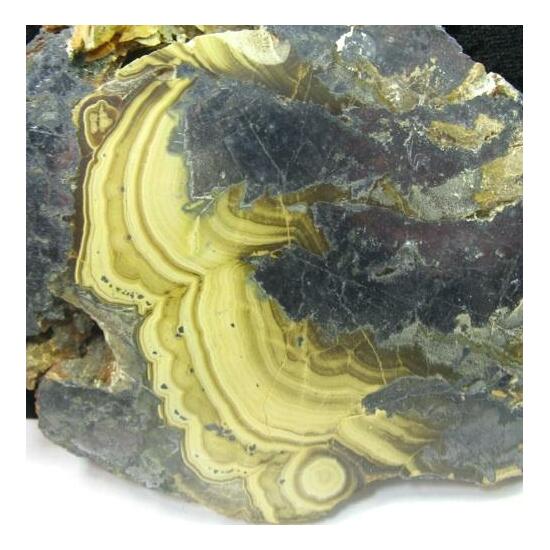 Sphalerite Var Schalenblende & Galena