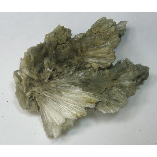 Probertite