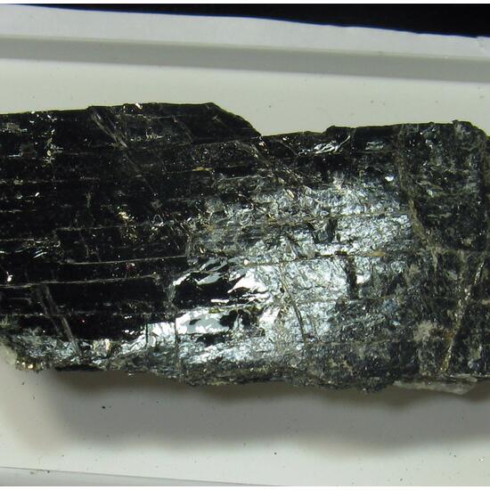 Biotite