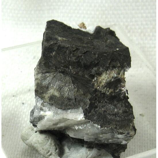 Nekoite & Johannsenite