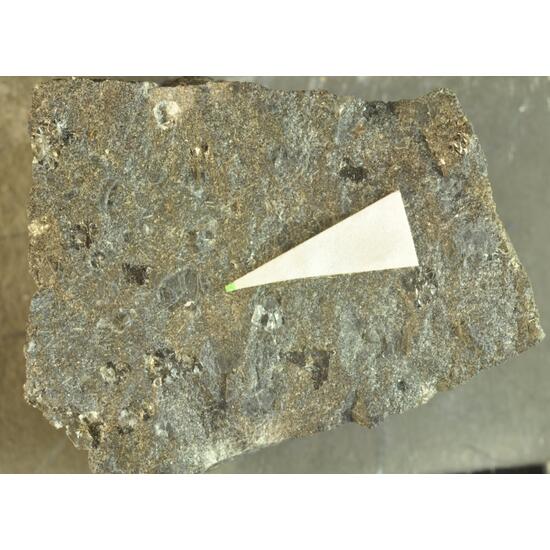 Sacrofanite Psm Nosean