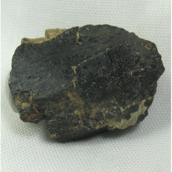 Ferro-edenite