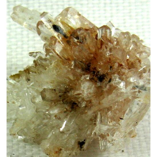 Creedite