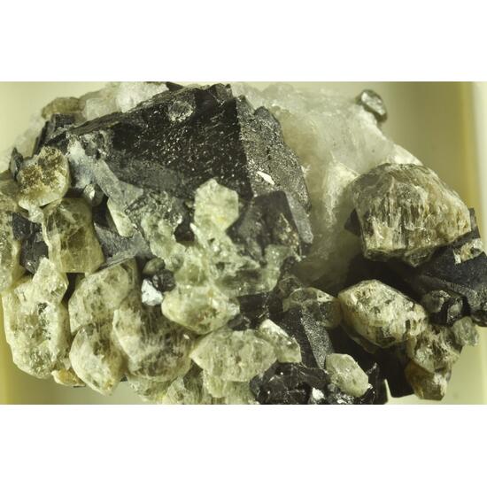 Forsterite & Magnetite