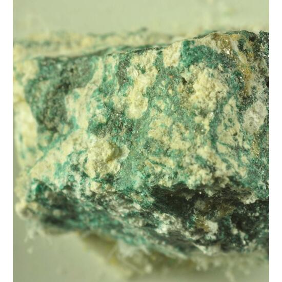 Paratacamite