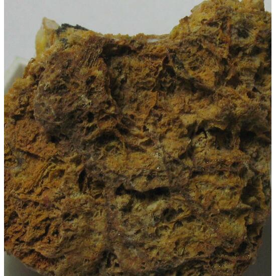 Gorceixite