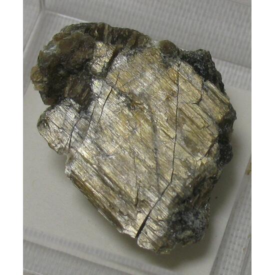 Bronzite