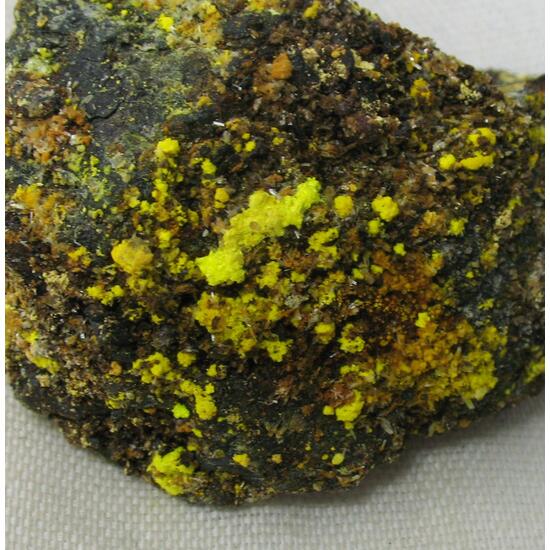 Uranopilite