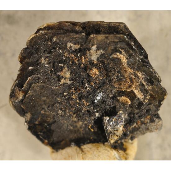 Birnessite On Polylithionite