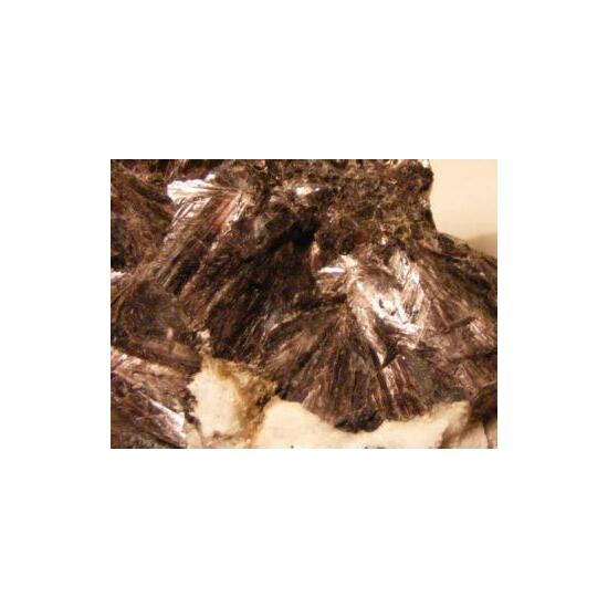 Trilithionite