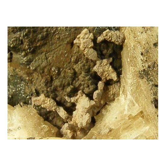 Bromian Chlorargyrite & Coronadite On Cerussite