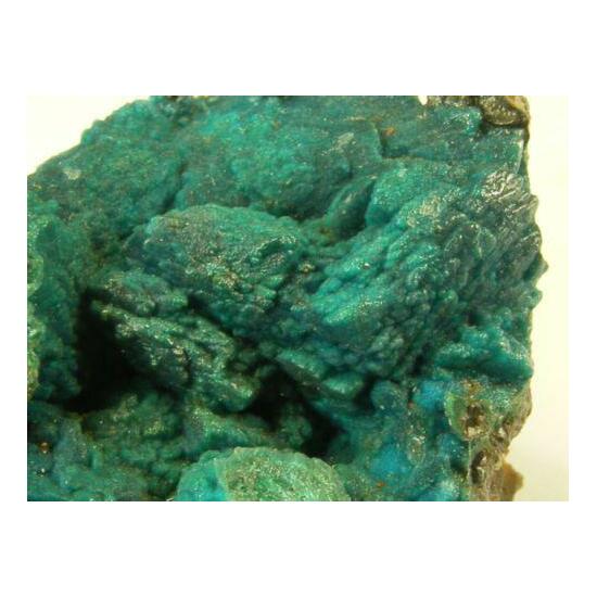 Chrysocolla Psm Malachite & Azurite