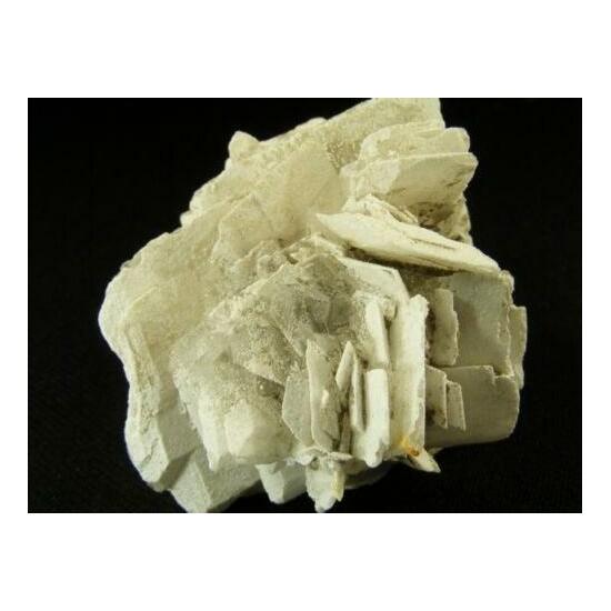 Gypsum On Glauberite