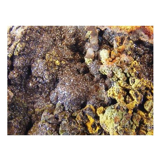 Lepidocrocite