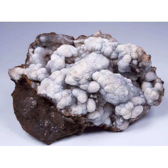 Calcite & Aragonite