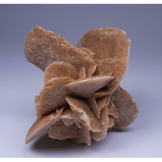 Desert Rose & Gypsum