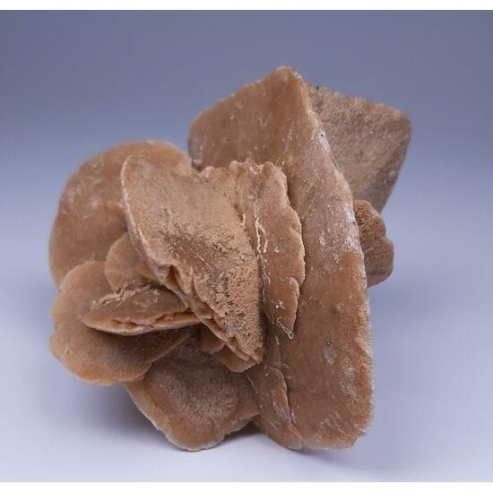 Desert Rose & Gypsum