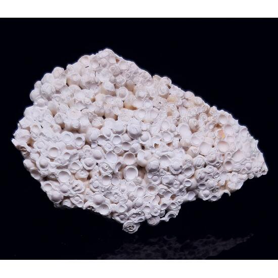 Pisolite & Aragonite & Calcite