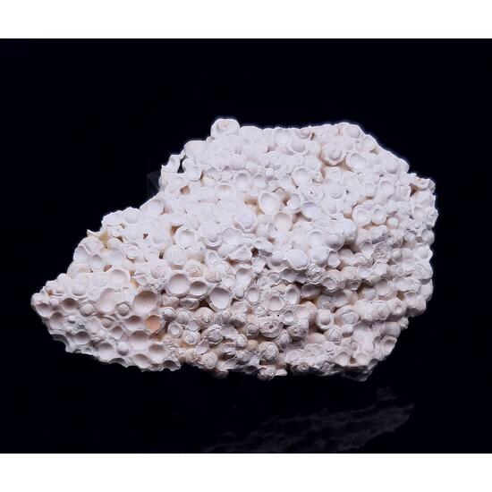 Pisolite & Aragonite & Calcite