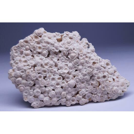 Pisolite & Aragonite & Calcite