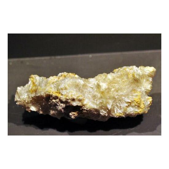 Apjohnite