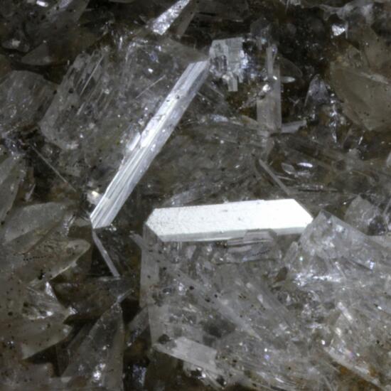 Tunisite