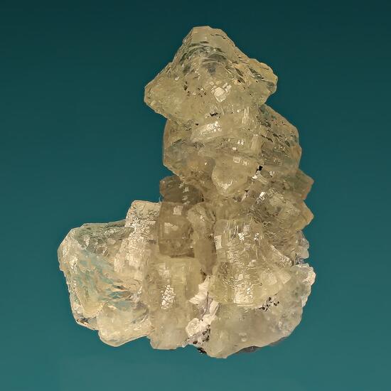 Prehnite