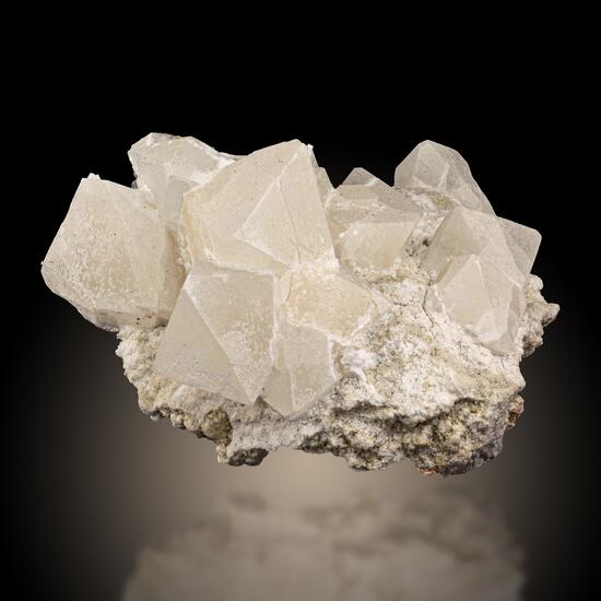 Tincalconite