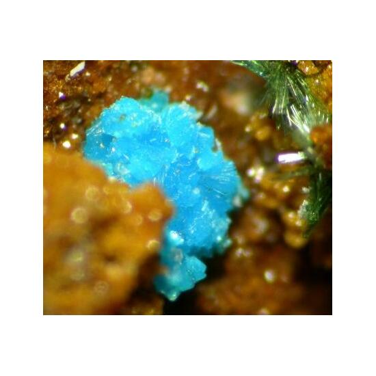 Sampleite
