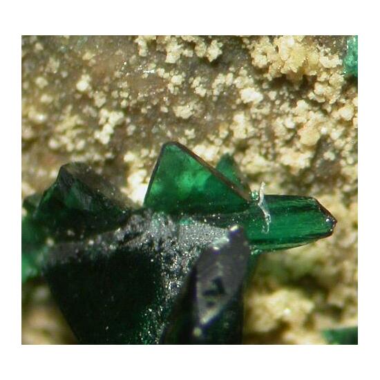 Anatacamite