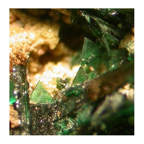 Anatacamite