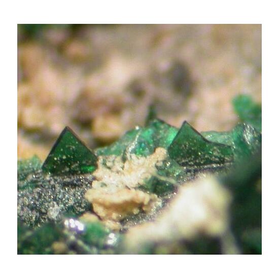 Anatacamite