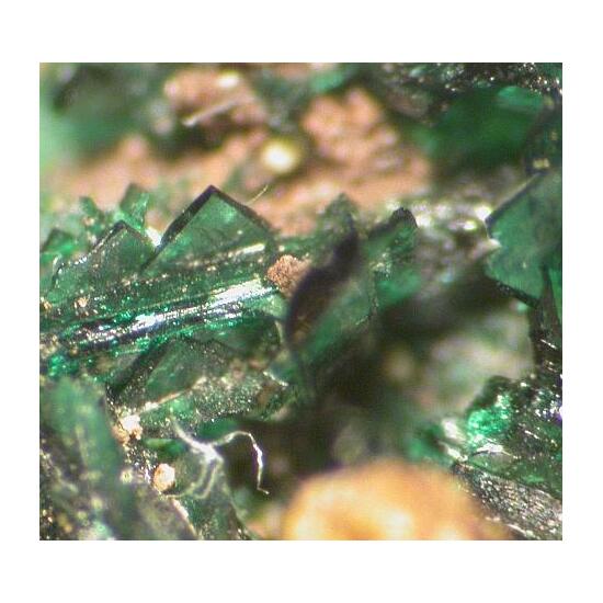 Anatacamite