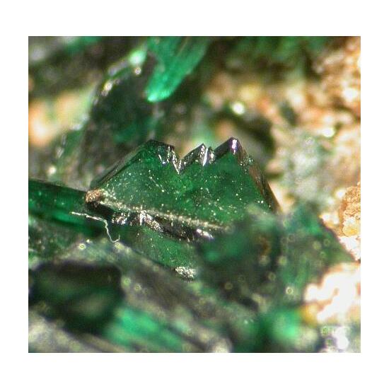 Anatacamite