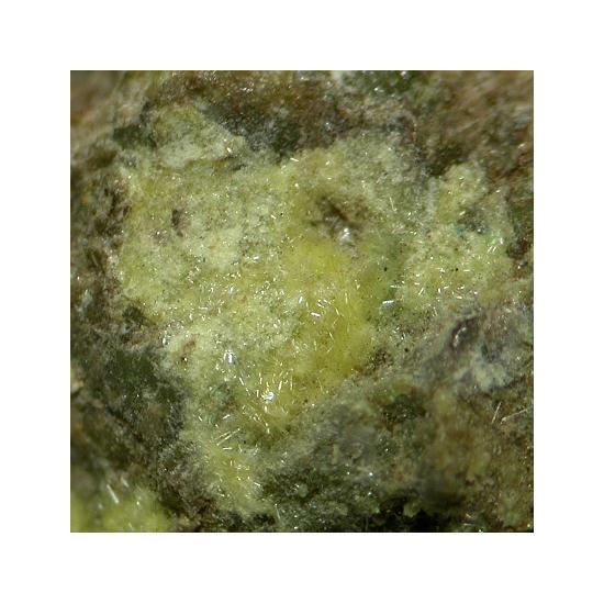 Studtite