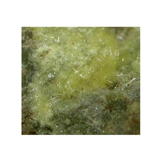 Studtite