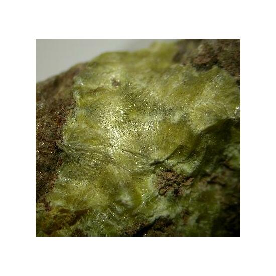Studtite