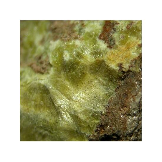 Studtite