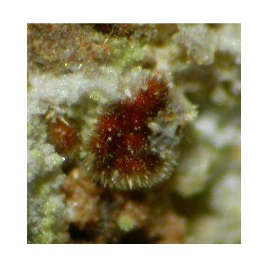 Cobaltarthurite
