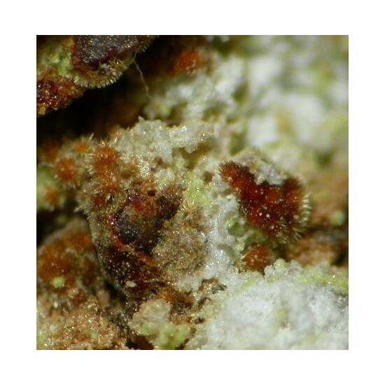 Cobaltarthurite