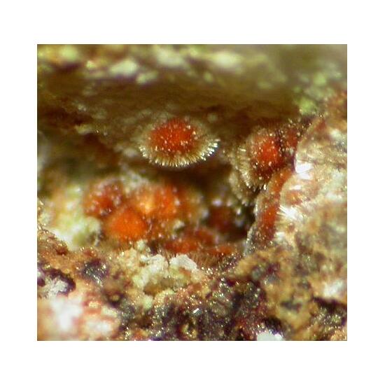 Cobaltarthurite