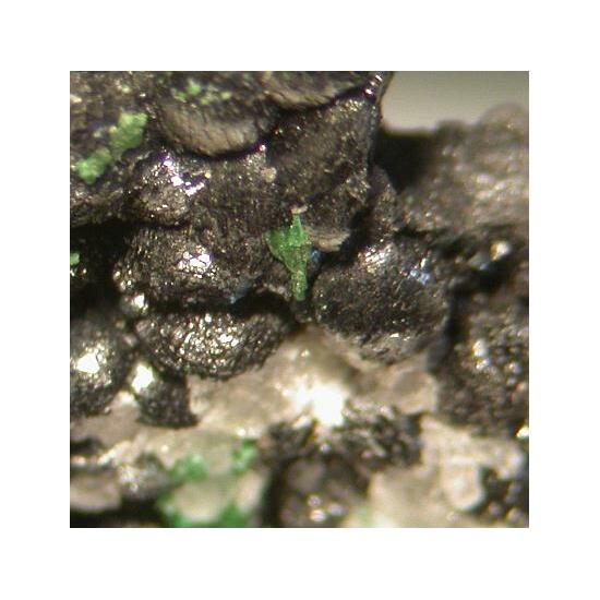 Kentrolite