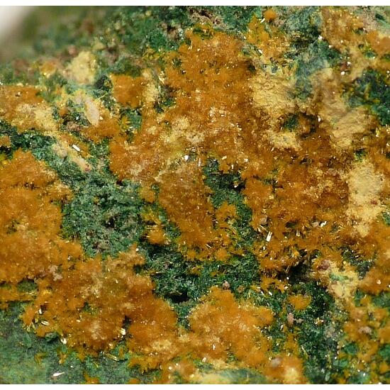 Kasolite