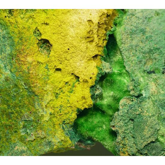Schoepite & Cuprosklodowskite