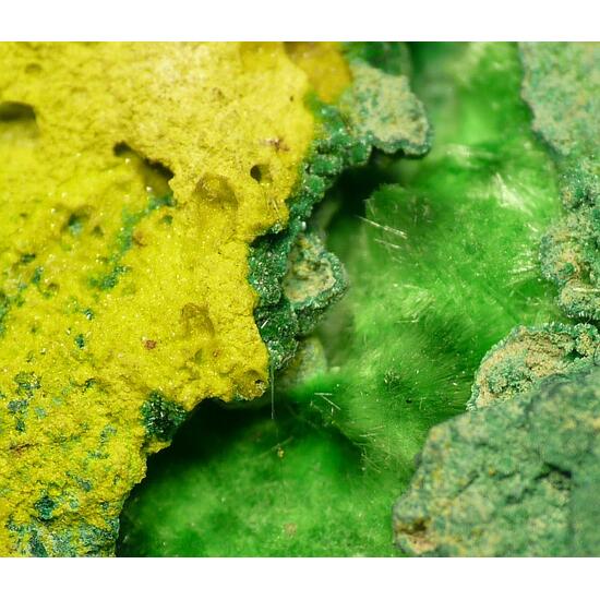 Schoepite & Cuprosklodowskite
