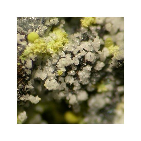 Vashegyite