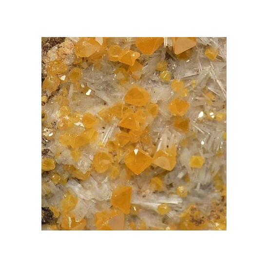 Wulfenite