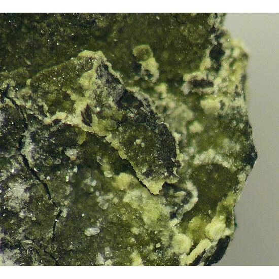 Chernikovite