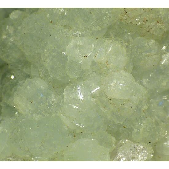 Prehnite